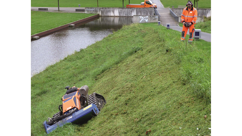 Vergrößerung des Bildes für .