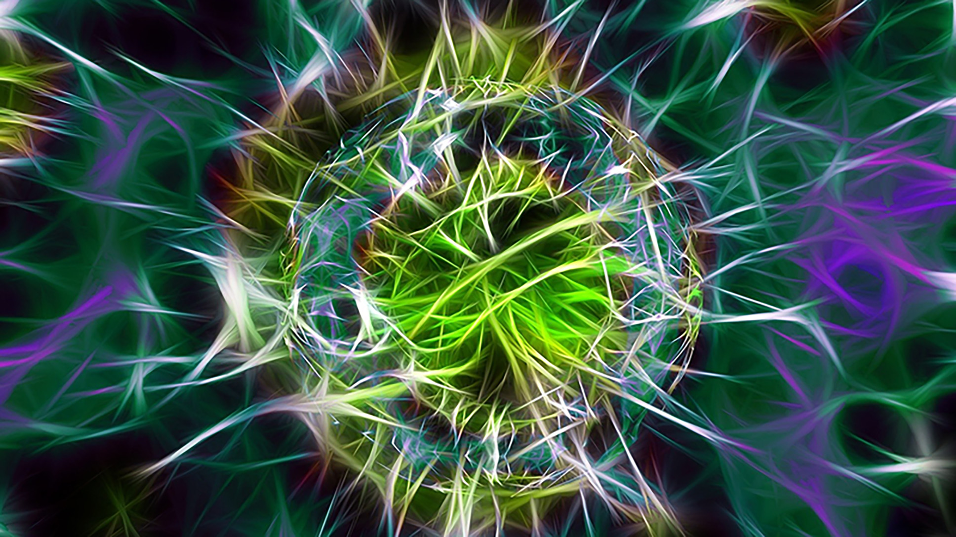 Aufnahme eines Bakteriums unter dem Elektronenmikroskop