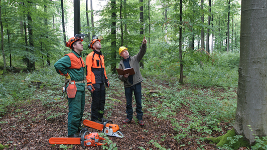 Ausbilder mit Lehrgangsteilnehmern