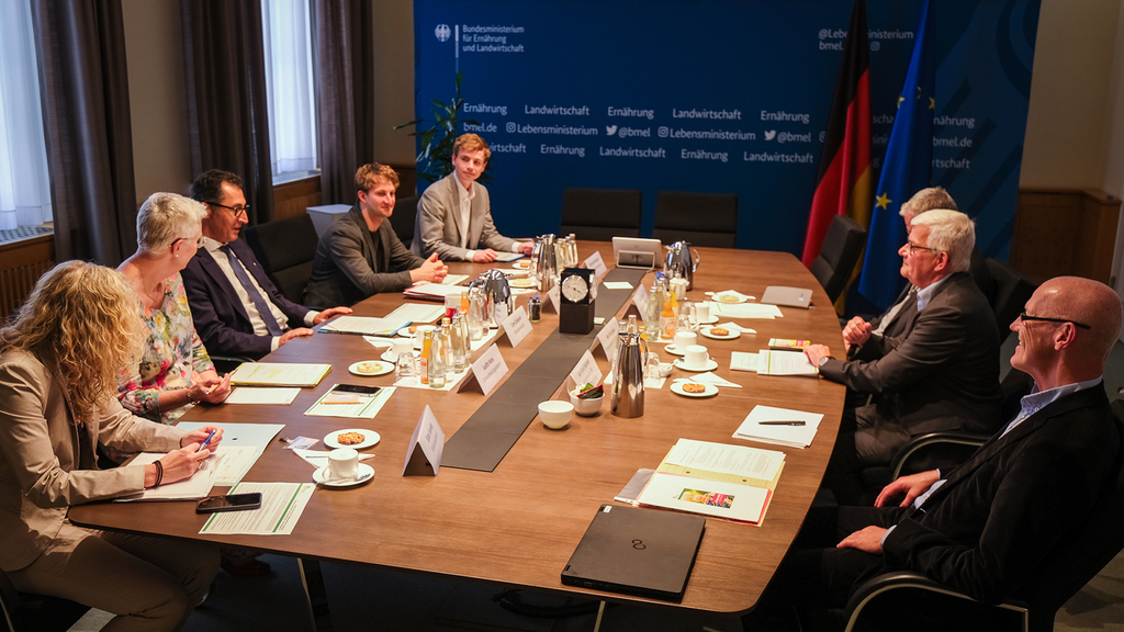 Vergrößerung des Bildes für .