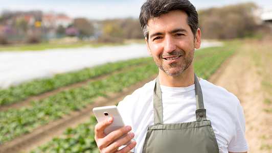 Mann mit Handy auf dem Feld