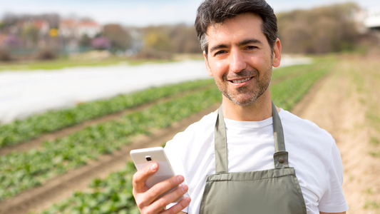 Mann mit Handy auf dem Feld