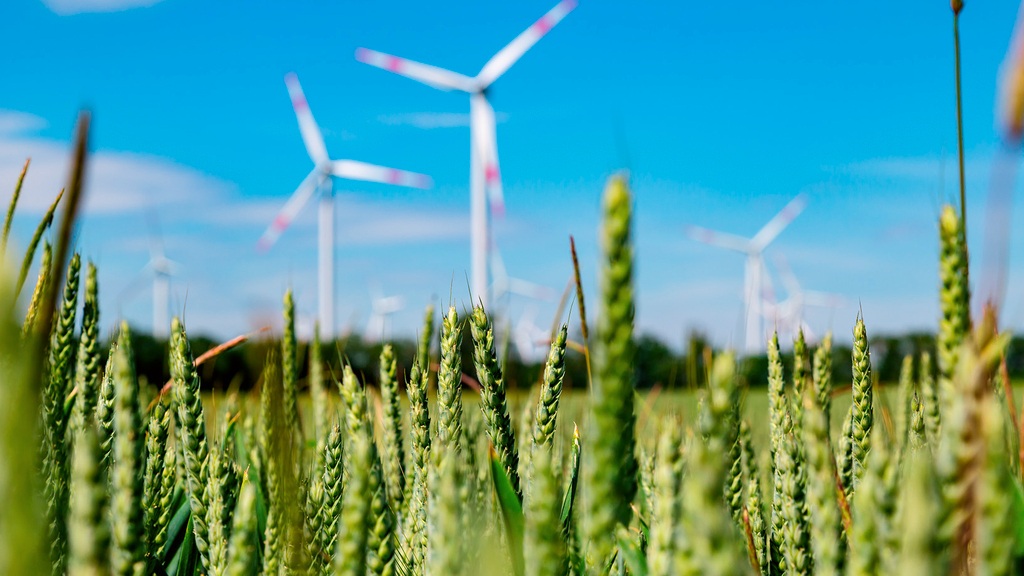 Vergrößerung des Bildes für Wind turbines on a field.