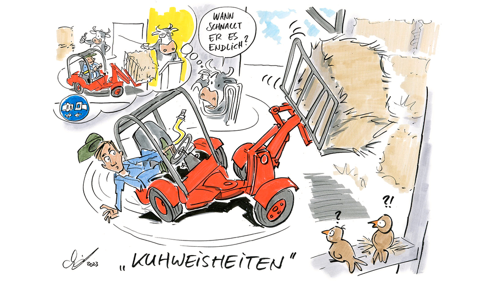 Vergrößerung des Bildes für Comic: Person kippt mit Traktor beim Heuballenverladen im Stall um und ist dabei nicht angeschnallt. Eine Kuh fragt sich: Wann schnallt er es endlich?".