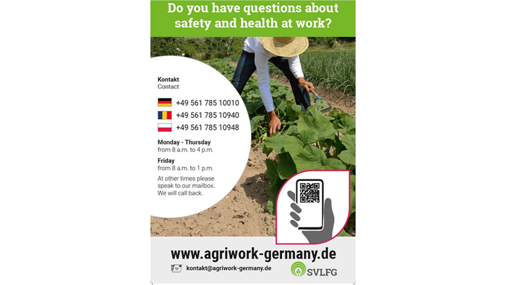 Vergrößerung des Bildes für Plakat zur Web-App.