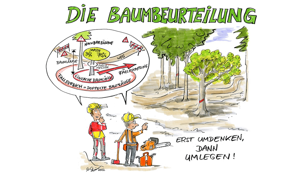 Vergrößerung des Bildes für Cartoon zeigt zwei Menschen im Forst.. In Sprechblasen sind die Schritte beschrieben, die für Baumbeurteilung wichtig sind..