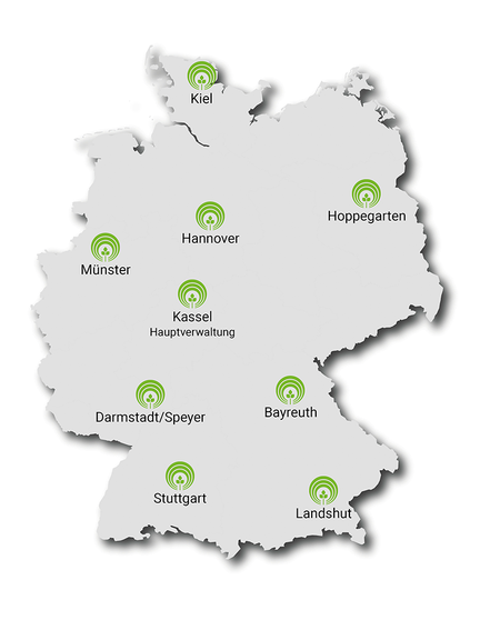 Vergrößerung des Bildes für .