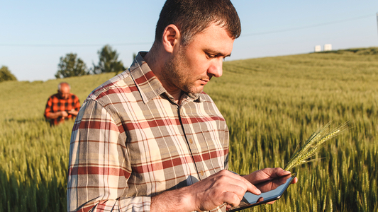 Bauer mit Tablet auf dem Feld