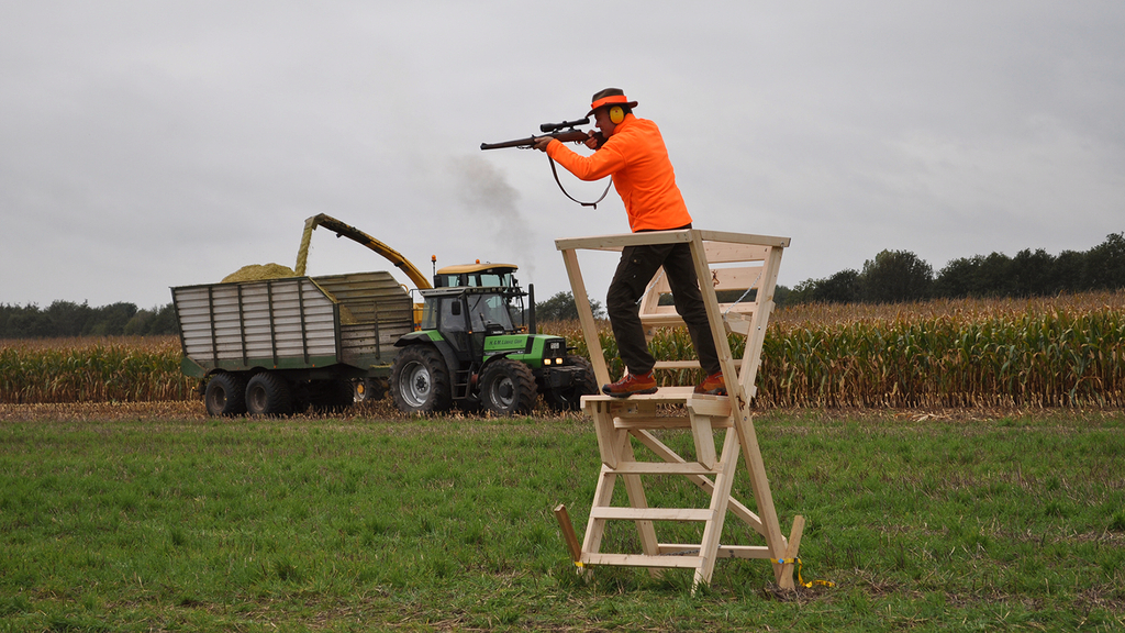 Vergrößerung des Bildes für Jäger mit Signalkleidung bei der Erntejagd.