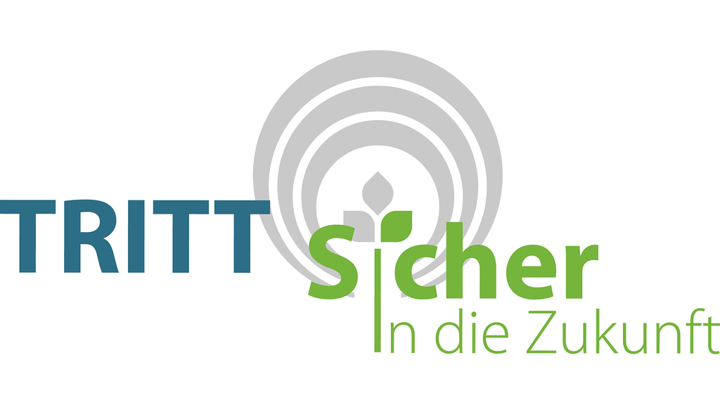 Vergrößerung des Bildes für .