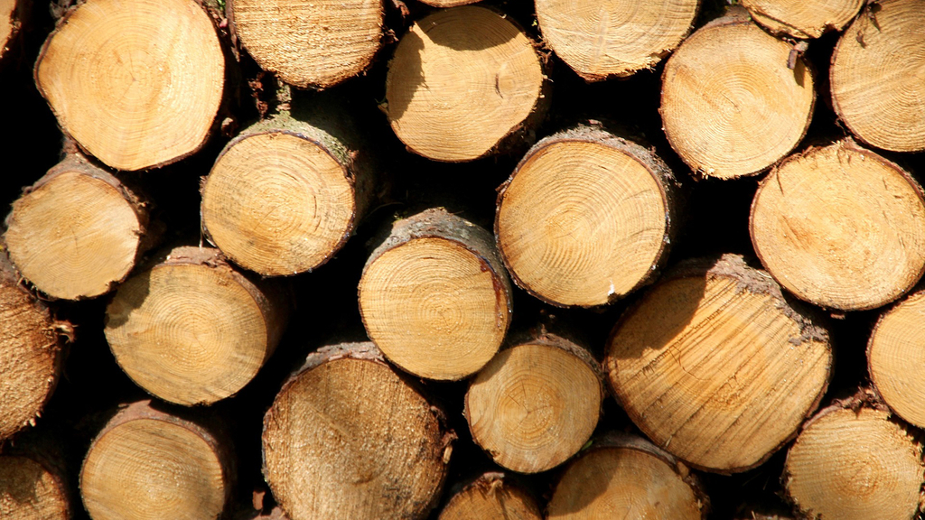 Vergrößerung des Bildes für Stapel mit Holzstämmen.