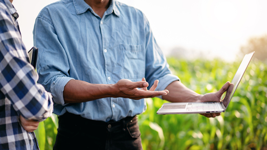 Sozioökonomische Beratung