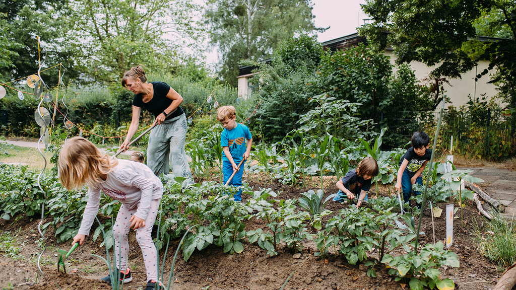 Vergrößerung des Bildes für .