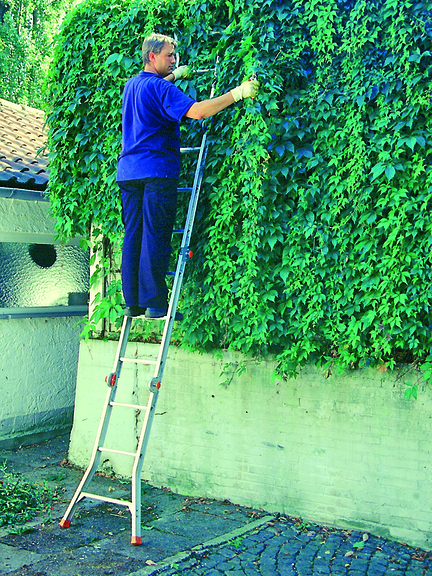 Vergrößerung des Bildes für Eine Anlegeleiter gegen eine hohe Hecke gelehnt. Darauf steht ein Mann und schneidet die Hecke.