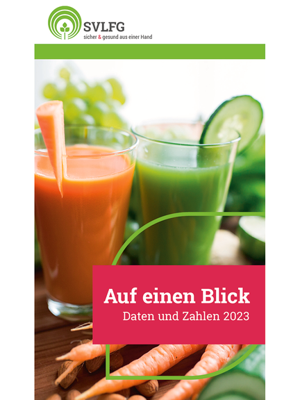 Vergrößerung des Bildes für Auf einen Blick 2023. Zwei Trinkgläser gefüllt mit gesundem Gemüsesaft..