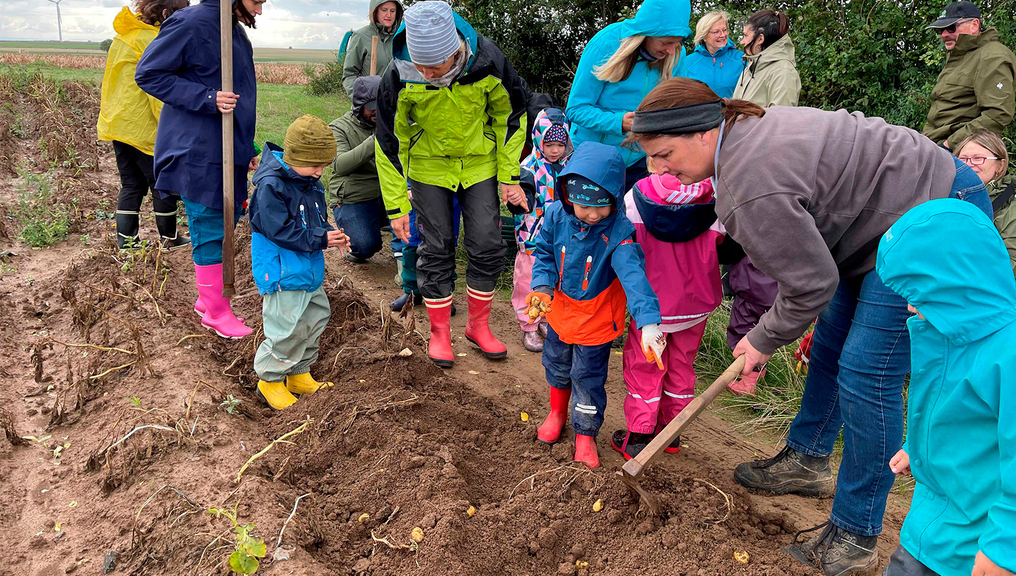Vergrößerung des Bildes für Kinder und Erwachsene stehen auf dem Acker und ernten Kartoffeln..