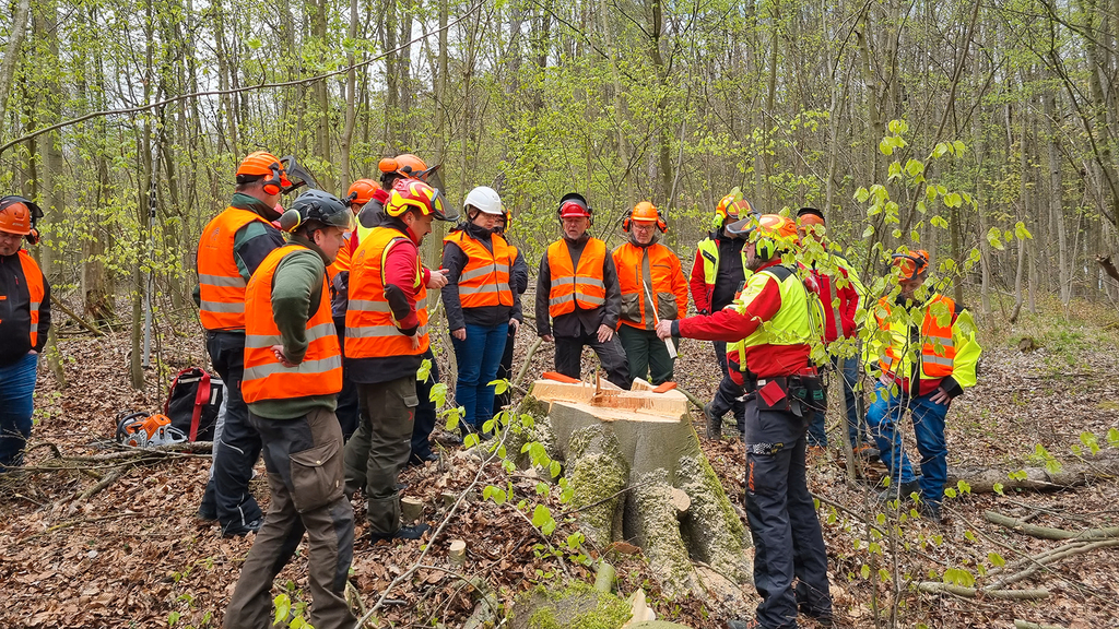 Vergrößerung des Bildes für Ein Gruppe Forstarbeiter im Wald. Sie stehen um eine forstwirtschaftliche Maschine. .