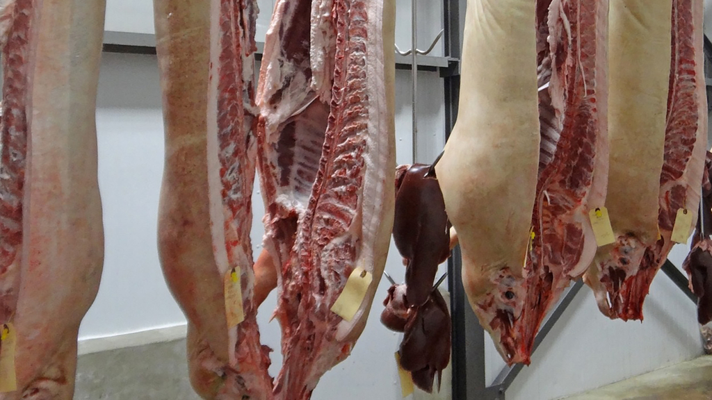 Vergrößerung des Bildes für In einem Kühlraum aufgehängte Schweinehälften.