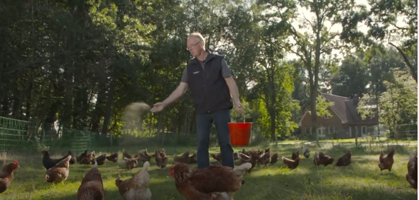 Imagefilm zu den Online-Gesundheitstrainings der SVLFG