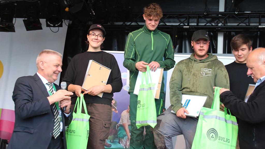 Vergrößerung des Bildes für .