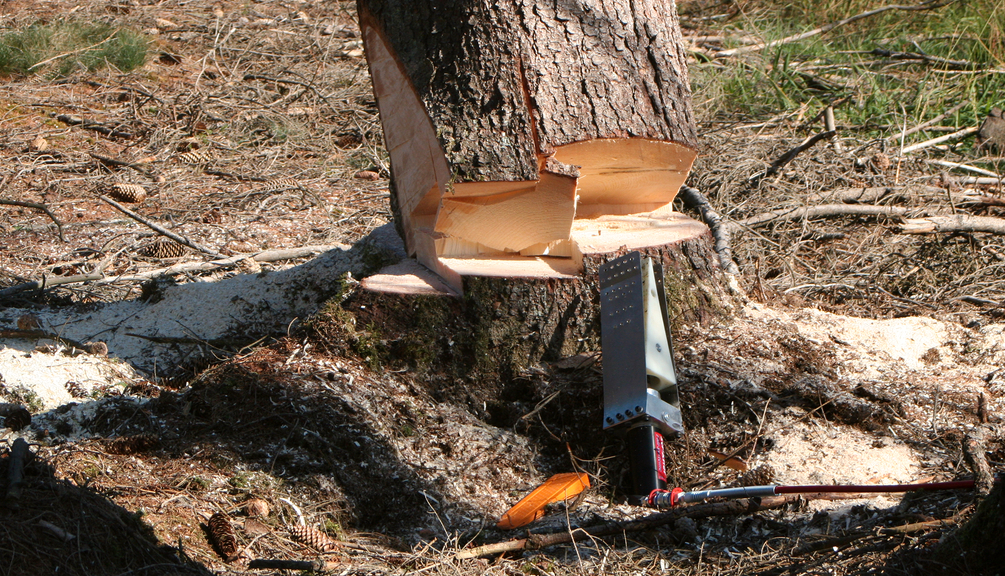 Vergrößerung des Bildes für .