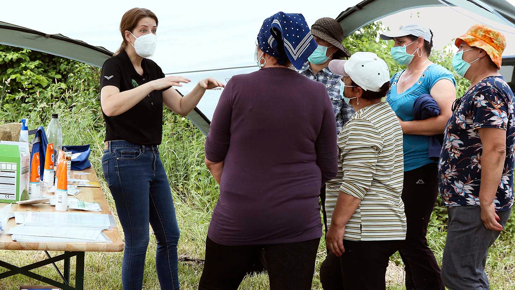 Vergrößerung des Bildes für .