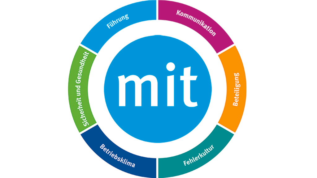 Vergrößerung des Bildes für Grafik der kommmitmensch-handlungsfelder.