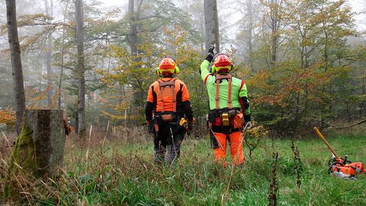 Zwei Personen in Persönlicher Schutzausrüstung im Wald