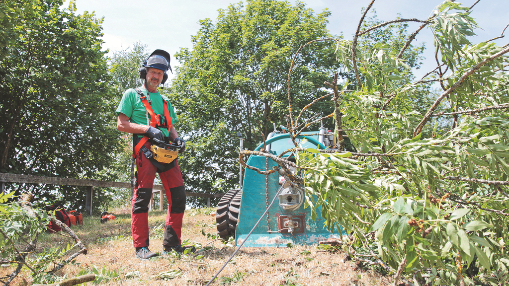 Vergrößerung des Bildes für Ferngesteuerte Kleinraupe.