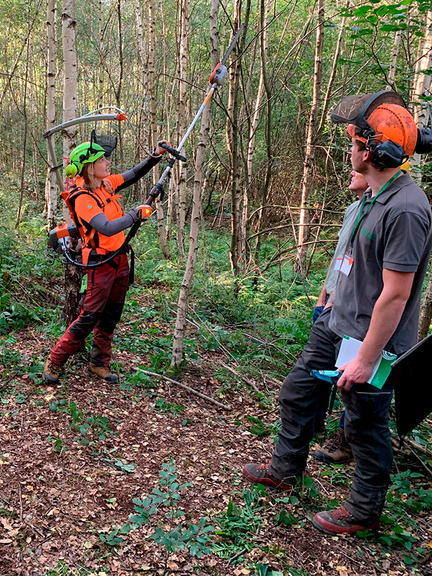 Vergrößerung des Bildes für Eine Forstarbeitern führt im Wald den Umgang mit dem Gerät Spacer vor..
