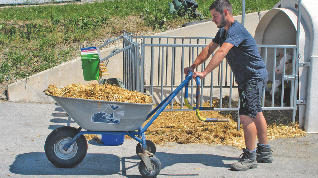Vergrößerung des Bildes für Dreirädrige Karre.