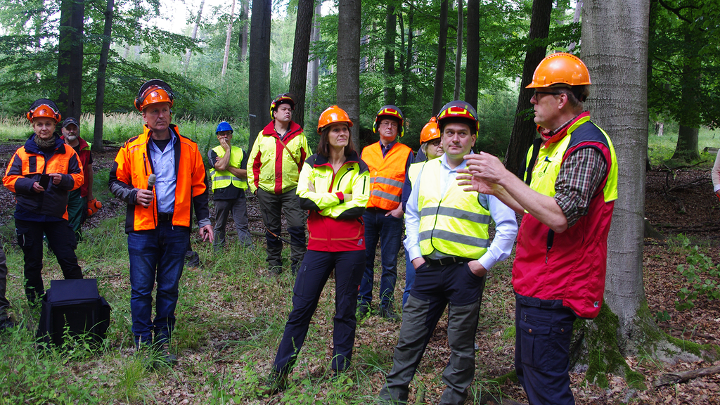 Vergrößerung des Bildes für Eine Gruppe Menschen in orangefarbener Sicherheitskleidung steht im Wald und bespricht sich, .