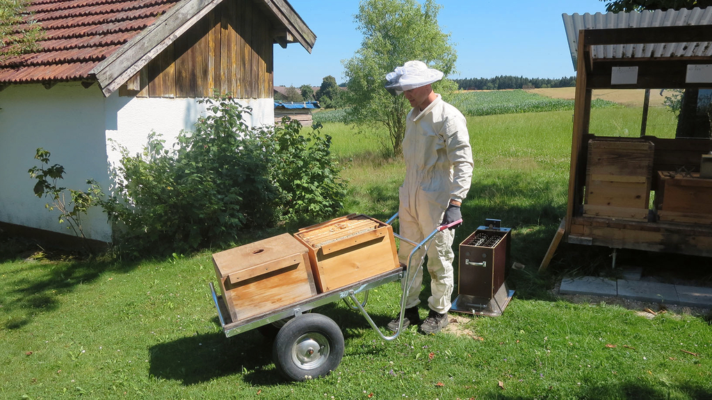 Vergrößerung des Bildes für Imker in Imkerkleidung steht vor einer Karre, die Bienenkästen geladen hat.