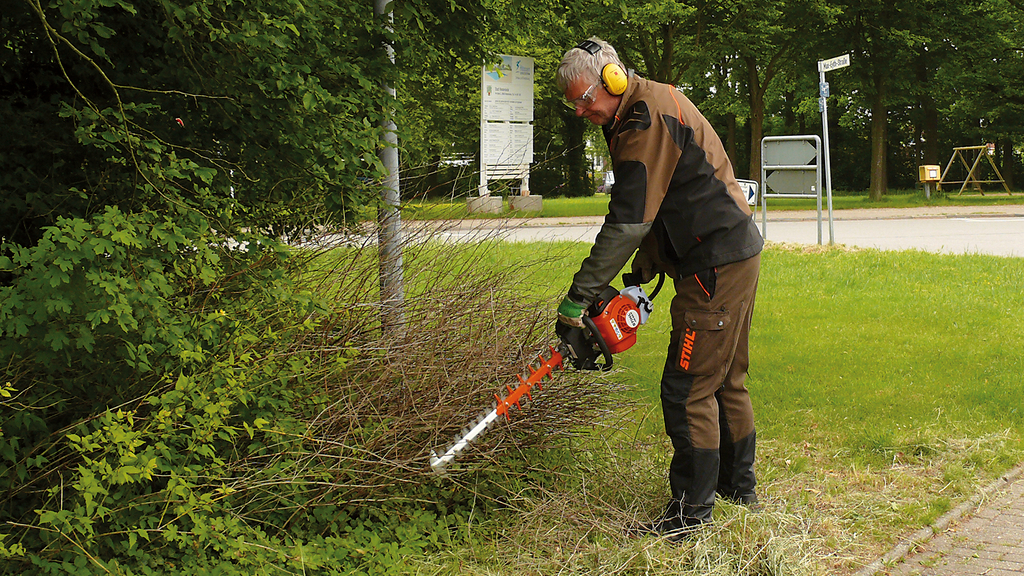 Vergrößerung des Bildes für Mann mit Heckenschere schneidet Sträucher.