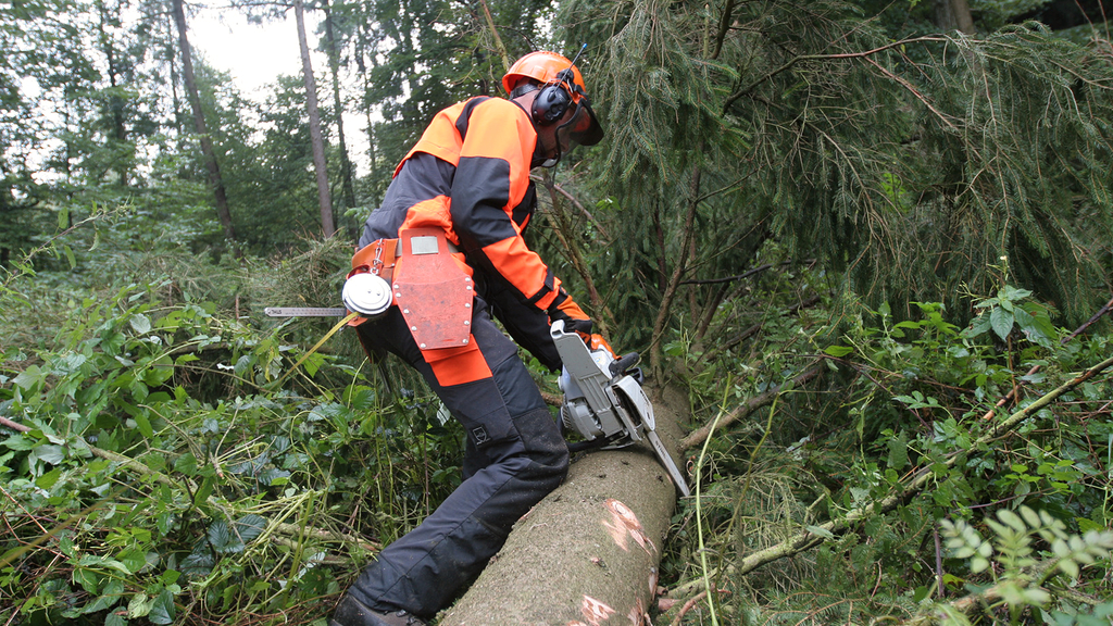 Vergrößerung des Bildes für Mann in persönlicher Schutzausrüstung schneidet mit einer Motorsäge Äste von einem gefällten Baum..