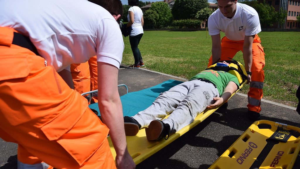 Vergrößerung des Bildes für .