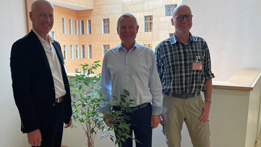 Vergrößerung des Bildes für .