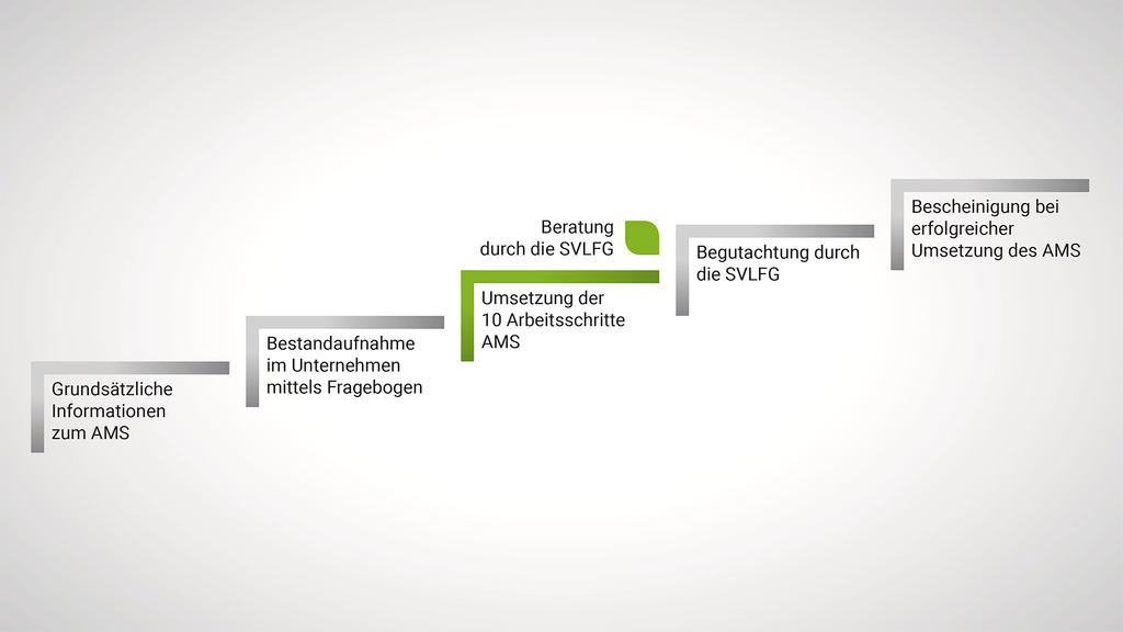 Vergrößerung des Bildes für Grafik Verfahrensablauf AMS.