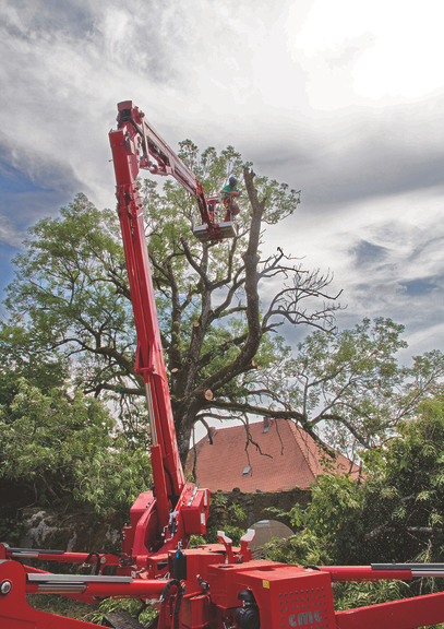 Vergrößerung des Bildes für .