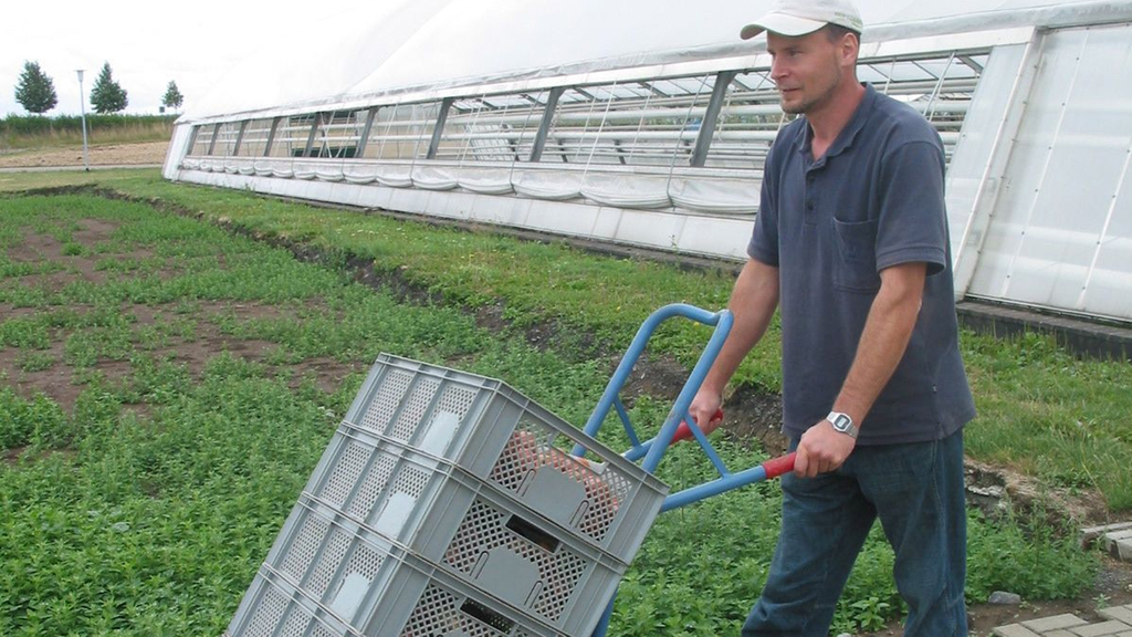 Vergrößerung des Bildes für .