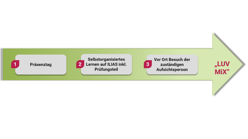 Vergrößerung des Bildes für Grafik stellt die Organisation des Seminars "LUV MiX" dar..