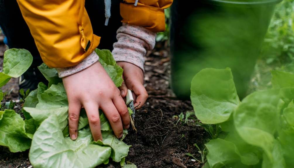 Vergrößerung des Bildes für .