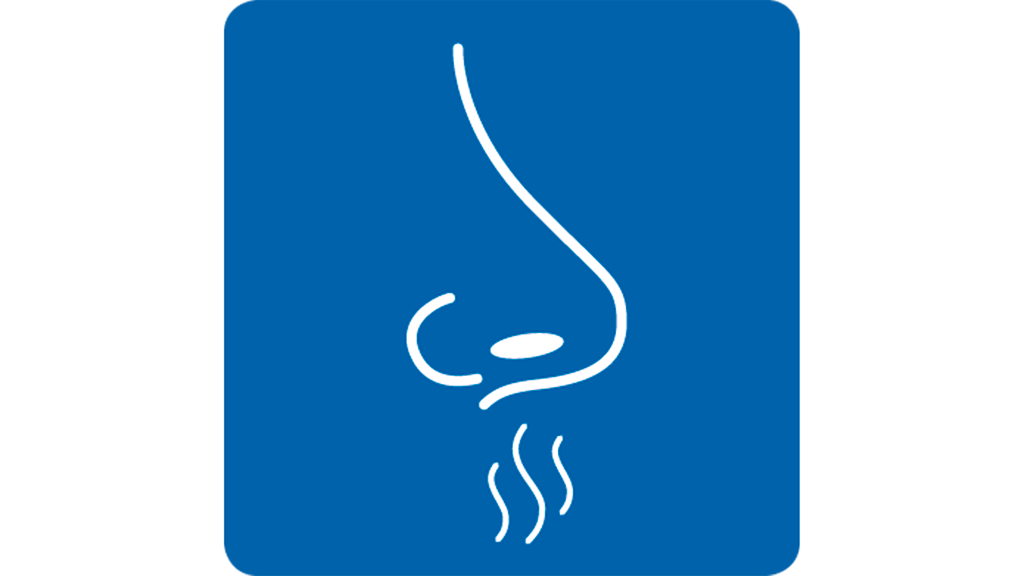 Vergrößerung des Bildes für .