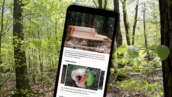 Handy mit Stockfibel-App Beurteilungsmerkmale; im Hintergrund Wald