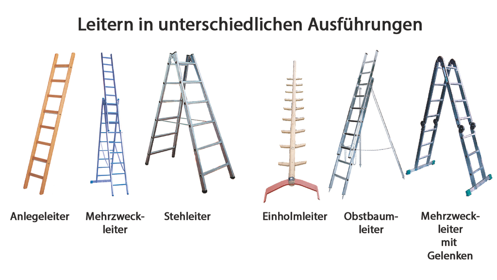 Vergrößerung des Bildes für Darstellung von Leitern in sechs unterschiedlichen Ausführungen.