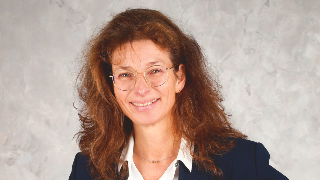 Vergrößerung des Bildes für .