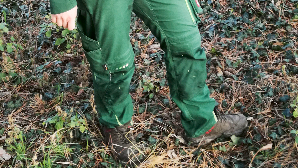 Vergrößerung des Bildes für Grüne Arbeitsschutzhose und Arbeitsschuhe im Wald. .
