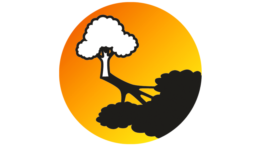 Vergrößerung des Bildes für .