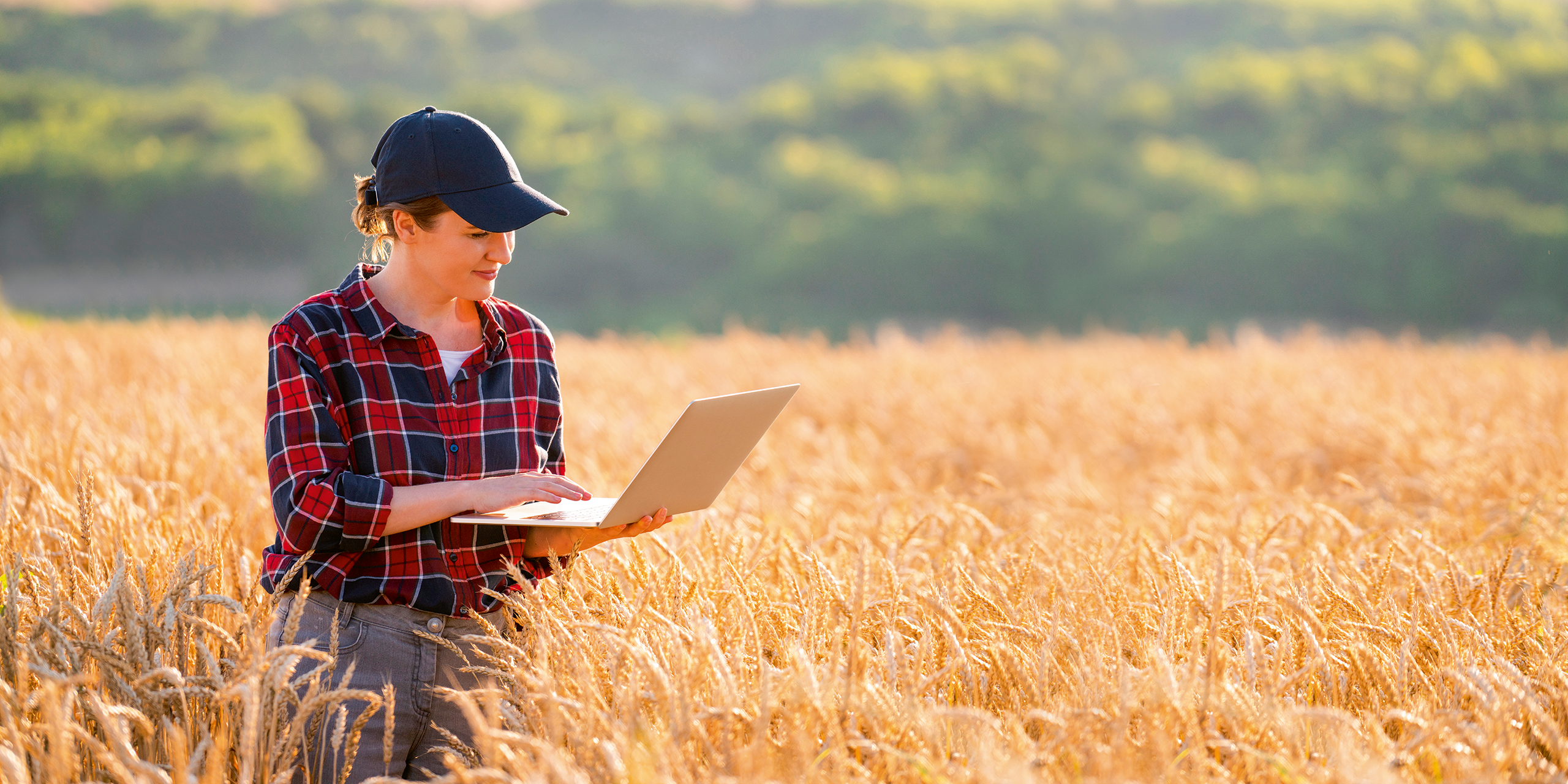 Frau mit Laptop steht in einem Weizenfeld.