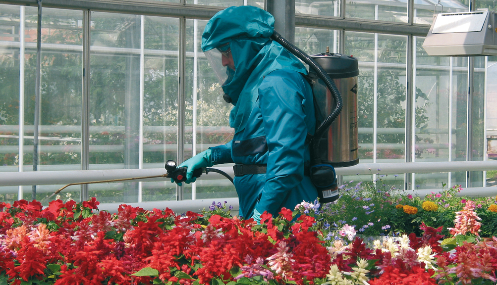 Vergrößerung des Bildes für Bild: Person in Schutzkleidung mit Gebläse unterstütztem Atemschutzgerät im Gewächshaus .